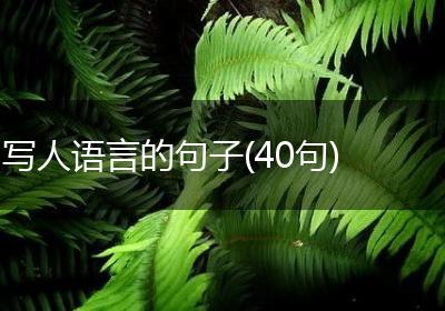 写人语言的句子(40句)