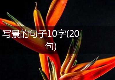 写景的句子10字(20句)