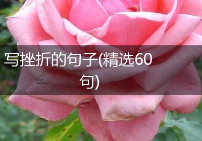 写挫折的句子(精选60句)