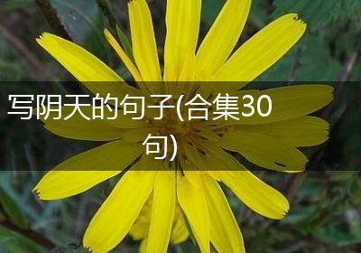 写阴天的句子(合集30句)