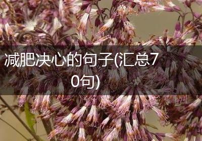 减肥决心的句子(汇总70句)