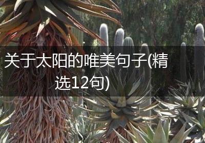 关于太阳的唯美句子(精选12句)