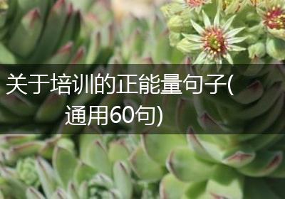 关于培训的正能量句子(通用60句)
