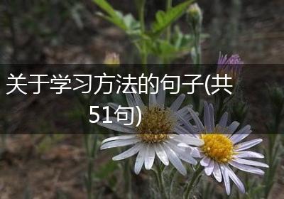 关于学习方法的句子(共51句)