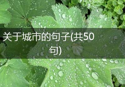 关于城市的句子(共50句)