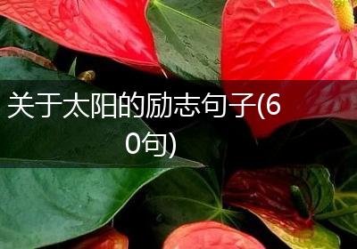关于太阳的励志句子(60句)