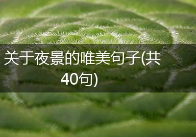 关于夜景的唯美句子(共40句)