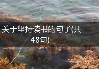 关于坚持读书的句子(共48句)