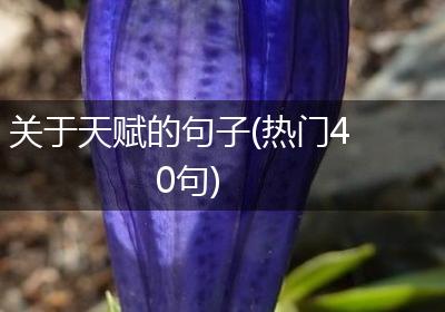 关于天赋的句子(热门40句)
