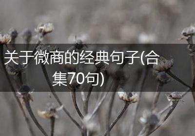 关于微商的经典句子(合集70句)