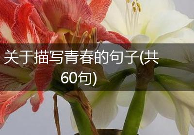 关于描写青春的句子(共60句)