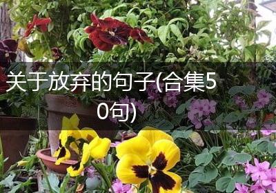 关于放弃的句子(合集50句)