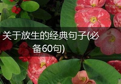 关于放生的经典句子(必备60句)