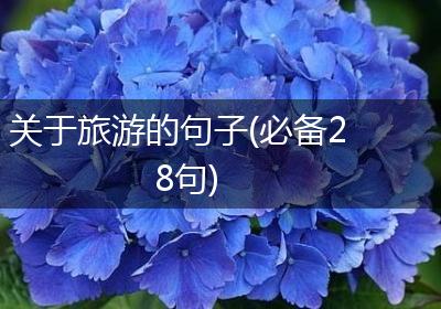 关于旅游的句子(必备28句)
