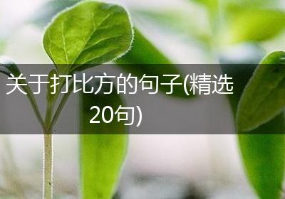 关于打比方的句子(精选20句)