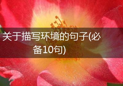 关于描写环境的句子(必备10句)