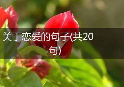 关于恋爱的句子(共20句)