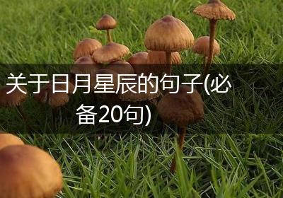 关于日月星辰的句子(必备20句)