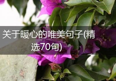关于暖心的唯美句子(精选70句)