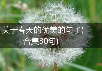 关于春天的优美的句子(合集30句)