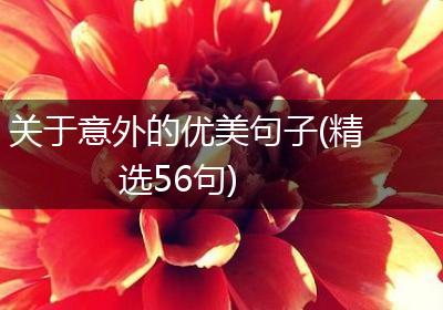 关于意外的优美句子(精选56句)