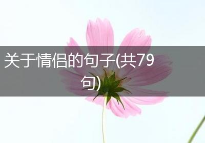 关于情侣的句子(共79句)