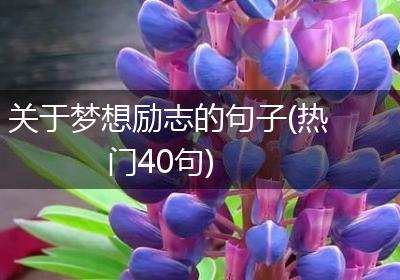 关于梦想励志的句子(热门40句)