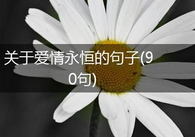 关于爱情永恒的句子(90句)