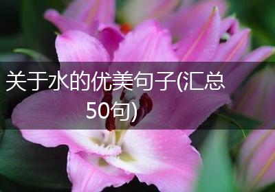 关于水的优美句子(汇总50句)
