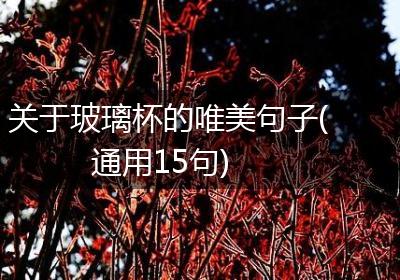 关于玻璃杯的唯美句子(通用15句)
