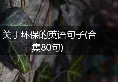关于环保的英语句子(合集80句)