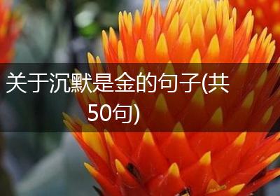 关于沉默是金的句子(共50句)