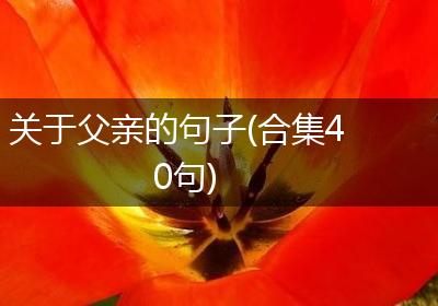 关于父亲的句子(合集40句)