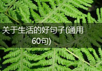关于生活的好句子(通用60句)