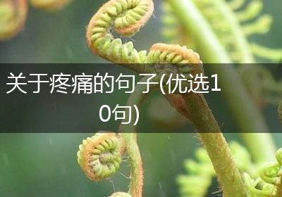 关于疼痛的句子(优选10句)
