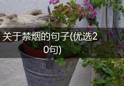 关于禁烟的句子(优选20句)