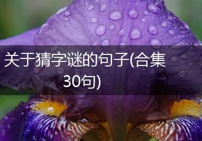 关于猜字谜的句子(合集30句)