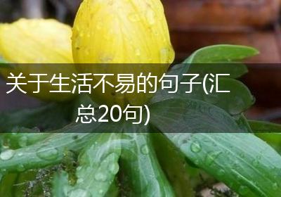 关于生活不易的句子(汇总20句)