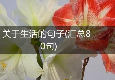 关于生活的句子(汇总80句)
