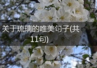 关于琉璃的唯美句子(共11句)