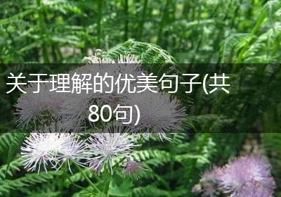 关于理解的优美句子(共80句)