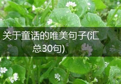 关于童话的唯美句子(汇总30句)