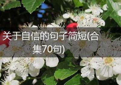 关于自信的句子简短(合集70句)