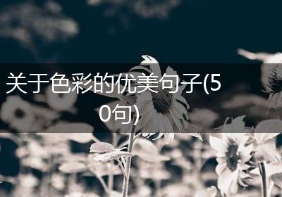 关于色彩的优美句子(50句)