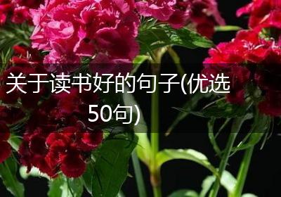 关于读书好的句子(优选50句)