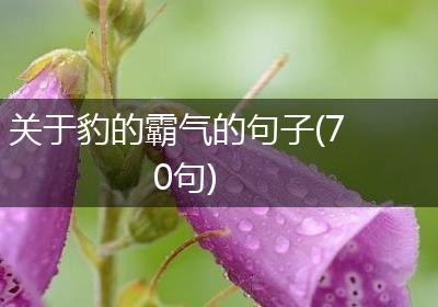 关于豹的霸气的句子(70句)