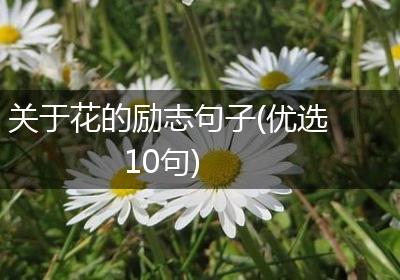 关于花的励志句子(优选10句)