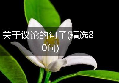 关于议论的句子(精选80句)