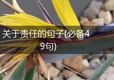 关于责任的句子(必备49句)