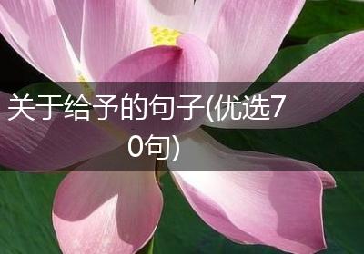 关于给予的句子(优选70句)
